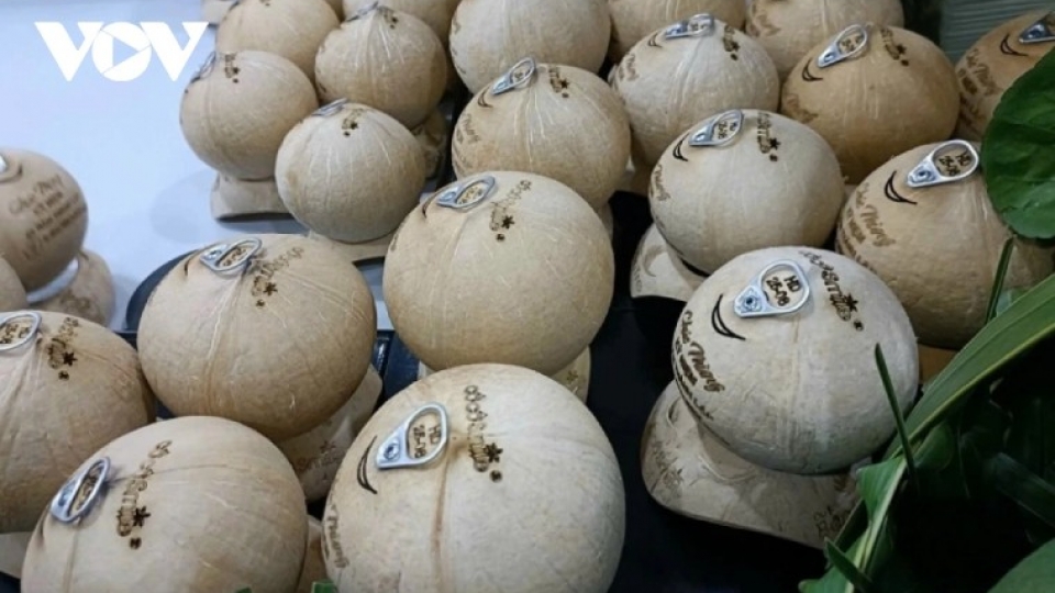 Can Vietnam stay in the world’s top 5 for coconut exports?